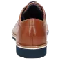 Sioux schoenen heren Dilip-701-H Brogues bruin 38761 voor 129,95 € 